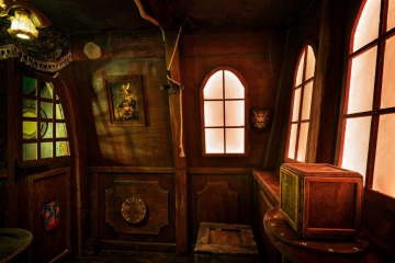 DAS HERZ DES PIRATEN