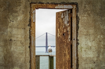 Die Flucht aus Alcatraz